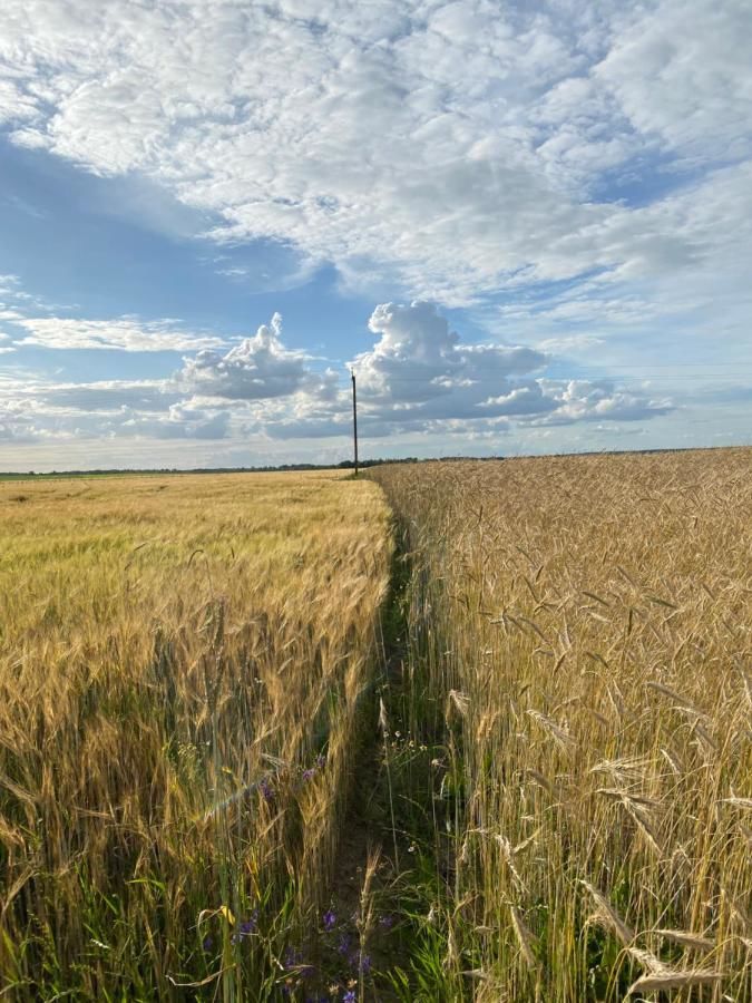 Загородные дома Колоритная агроэкоусадьба рядом с Беловежской пущей Khodosy-47