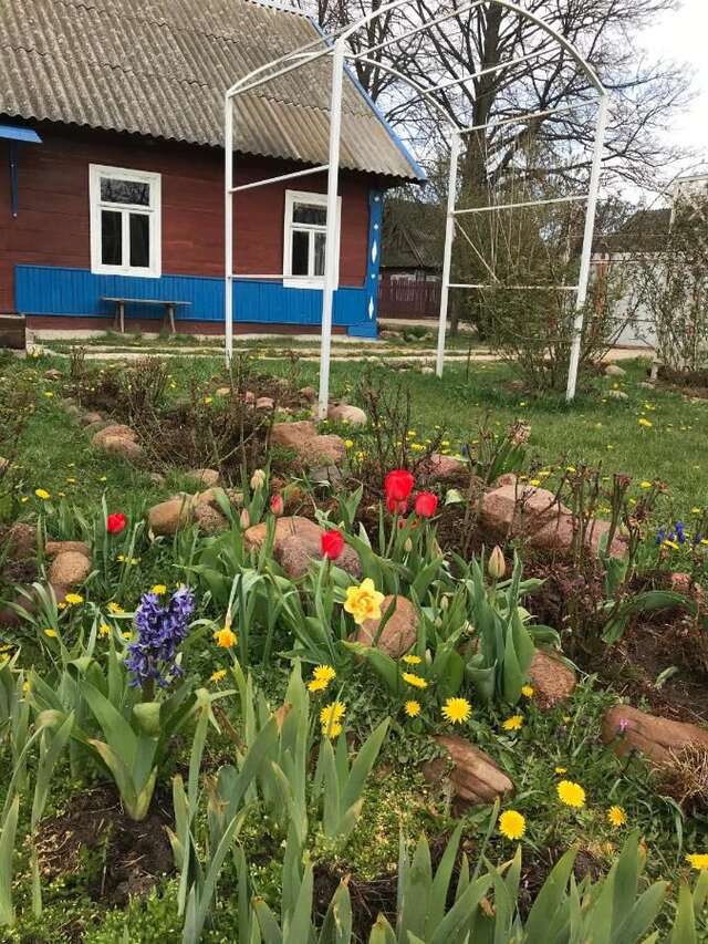 Загородные дома Колоритная агроэкоусадьба рядом с Беловежской пущей Khodosy-10